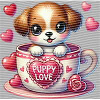 Valentine's Day-QRJ  2049